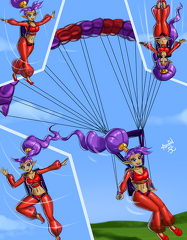 Arsbin Shantae skydance assembled